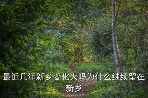 最近幾年新鄉(xiāng)變化大嗎為什么繼續(xù)留在新鄉(xiāng)