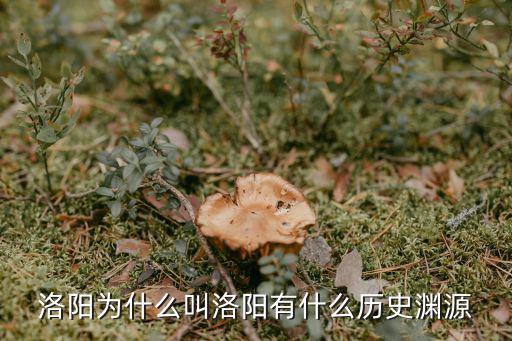 洛陽洛河怎么來的,洛陽是如何變?yōu)楣哦嫉?/></a></span><span id=