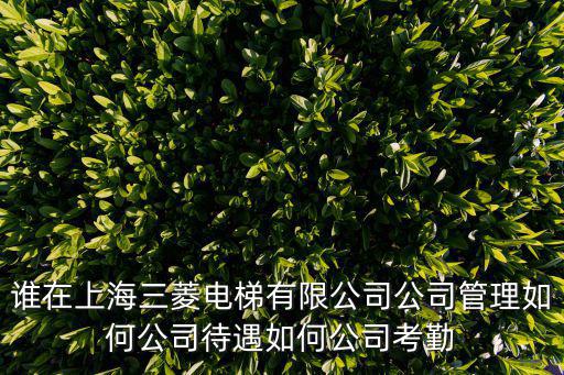 誰(shuí)在上海三菱電梯有限公司公司管理如何公司待遇如何公司考勤