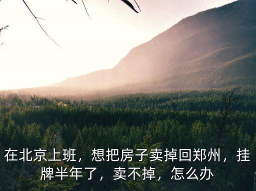 在北京上班，想把房子賣(mài)掉回鄭州，掛牌半年了，賣(mài)不掉，怎么辦