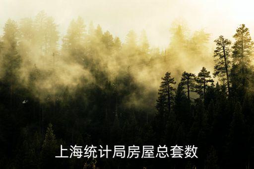 上海市統計局，上海市統計登記申報表是做什么用的