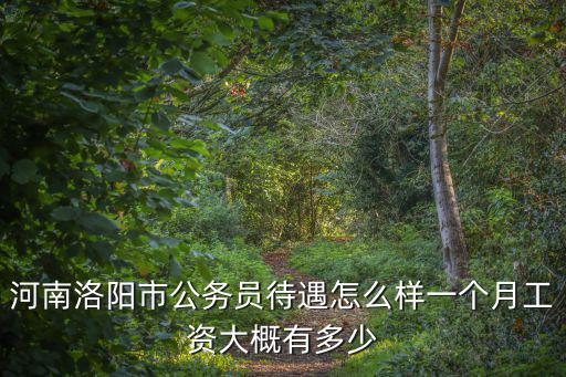 河南洛陽市公務(wù)員待遇怎么樣一個月工資大概有多少