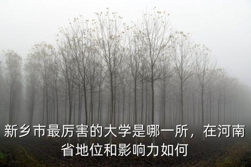 新鄉(xiāng)市最厲害的大學(xué)是哪一所，在河南省地位和影響力如何