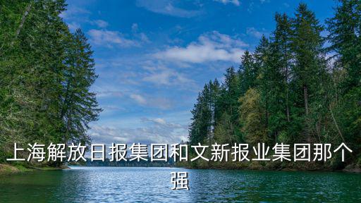 上海解放日報(bào)集團(tuán)和文新報(bào)業(yè)集團(tuán)那個強(qiáng)