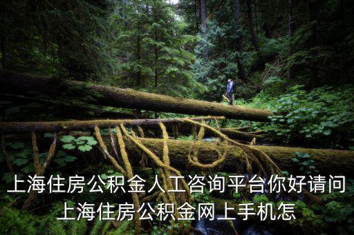 上海住房公積金人工咨詢平臺你好請問上海住房公積金網上手機怎