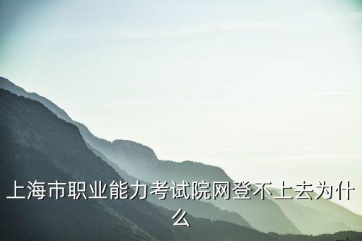 上海市職業能力考試院網登不上去為什么