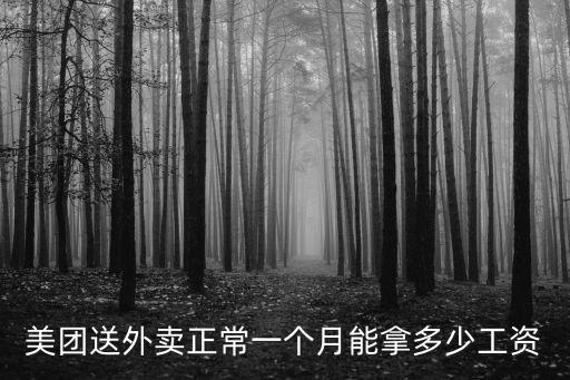 新鄉跑美團一個月多少錢,美團眾包現在一個月能賺多少