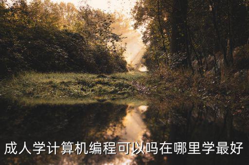 成人學計算機編程可以嗎在哪里學最好