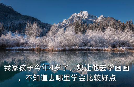 我家孩子今年4歲了，想讓他去學畫畫，不知道去哪里學會比較好點