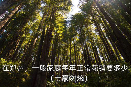在鄭州，一般家庭每年正常花銷要多少（土豪勿炫）