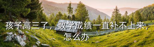 孩子高三了，數(shù)學(xué)成績(jī)一直補(bǔ)不上來，怎么辦