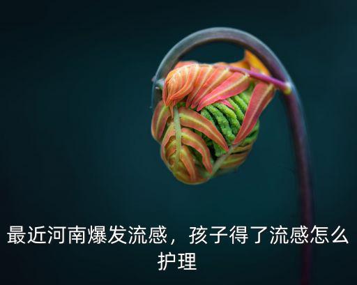 最近河南爆發流感，孩子得了流感怎么護理