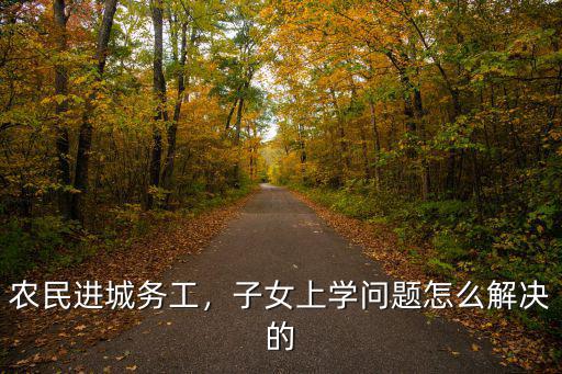 農(nóng)民進(jìn)城務(wù)工，子女上學(xué)問題怎么解決的
