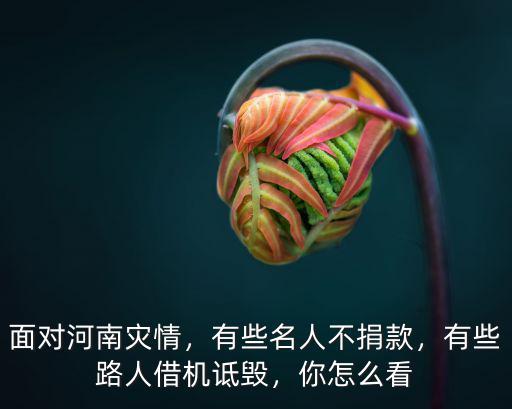 面對河南災(zāi)情，有些名人不捐款，有些路人借機(jī)詆毀，你怎么看