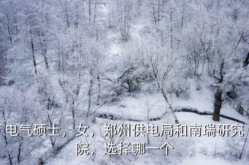電氣碩士，女，鄭州供電局和南瑞研究院，選擇哪一個(gè)