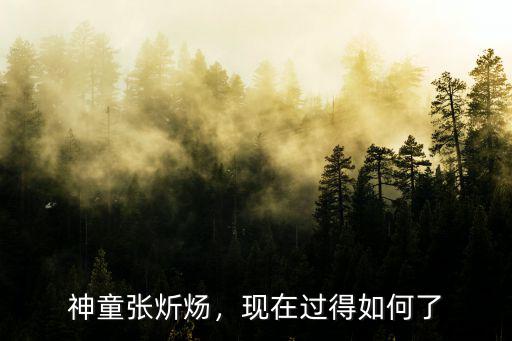 神童張炘煬，現在過得如何了