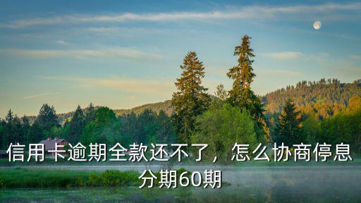 新鄉(xiāng)個(gè)人信用卡停息分期怎么協(xié)商,怎么協(xié)商停息分期60期