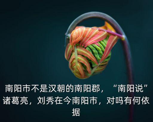 南陽市哪里有龍,劉秀在今南陽市