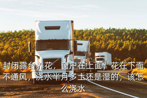 封閉南陽臺怎么養花,封閉陽臺養花