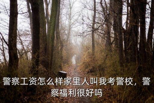 警察工資怎么樣家里人叫我考警校，警察福利很好嗎