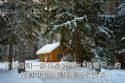 河南信陽一廢棄沙坑撈出5具男尸，均是初中生，到底是怎么回事