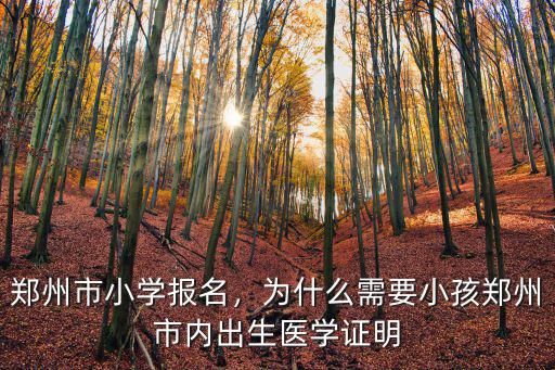 鄭州市小學報名，為什么需要小孩鄭州市內出生醫學證明