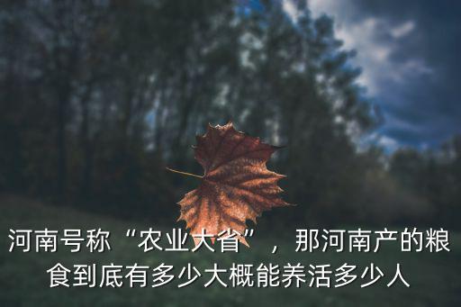 全河南有多少光氏人,那河南產(chǎn)的糧食到底有多少