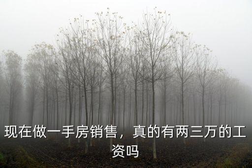 現在做一手房銷售，真的有兩三萬的工資嗎