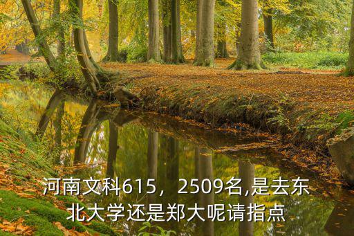 河南文科615，2509名,是去東北大學還是鄭大呢請指點