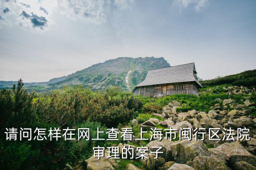 請問怎樣在網上查看上海市閩行區法院審理的案子