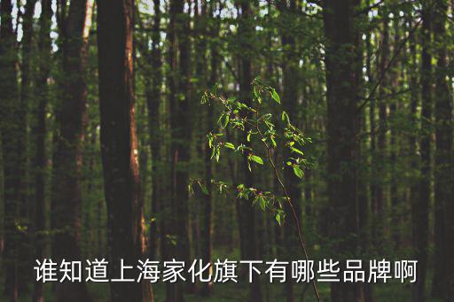 誰知道上海家化旗下有哪些品牌啊