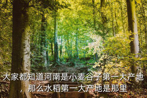 大家都知道河南是小麥谷子第一大產地，那么水稻第一大產地是那里