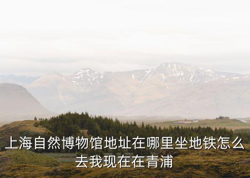 上海自然博物館地址在哪里坐地鐵怎么去我現在在青浦