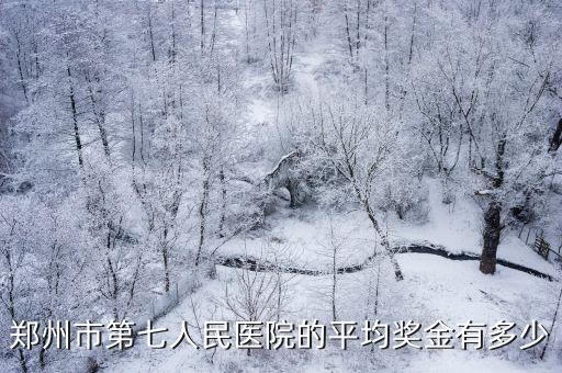 鄭州市第七人民醫院的平均獎金有多少