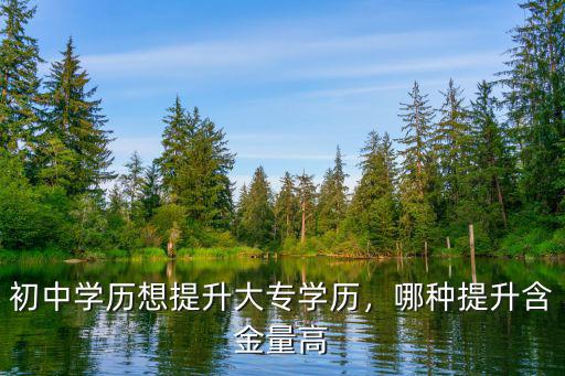 初中學歷想提升大專學歷，哪種提升含金量高