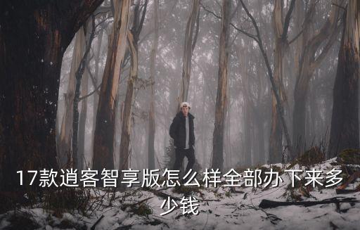 洛陽逍客多少錢能辦下來,全部辦下來多少錢