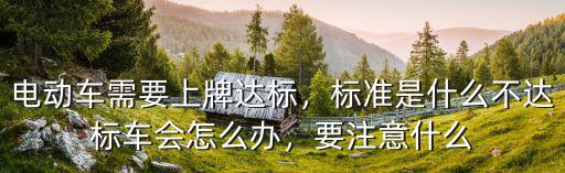 電動車需要上牌達標，標準是什么不達標車會怎么辦，要注意什么