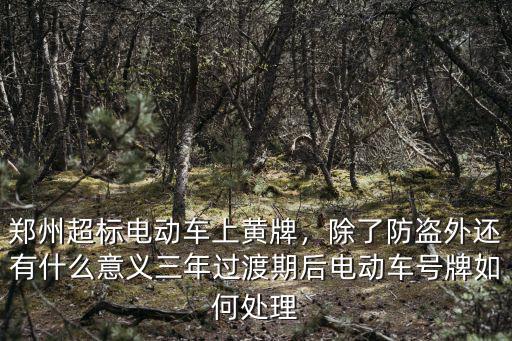鄭州超標(biāo)電動車上黃牌，除了防盜外還有什么意義三年過渡期后電動車號牌如何處理
