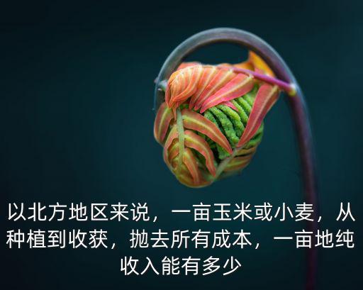以北方地區來說，一畝玉米或小麥，從種植到收獲，拋去所有成本，一畝地純收入能有多少