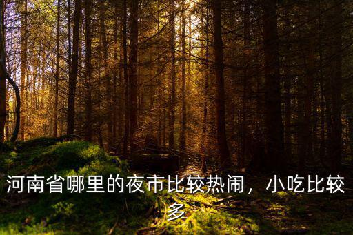 河南省哪里的夜市比較熱鬧，小吃比較多