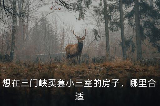 想在三門峽買套小三室的房子，哪里合適