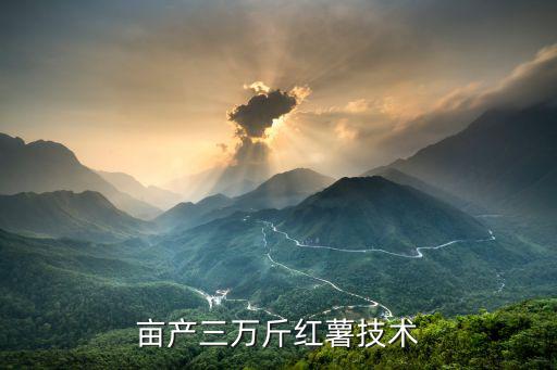 畝產三萬斤紅薯技術