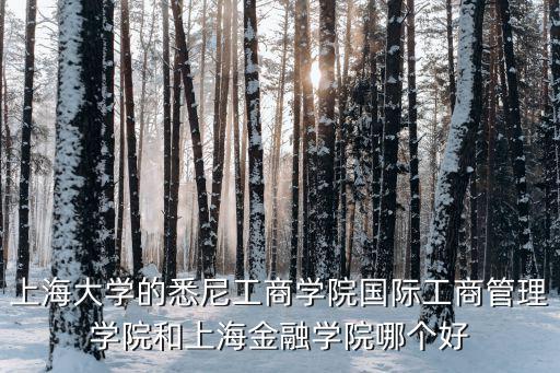 上海大學(xué)的悉尼工商學(xué)院國際工商管理學(xué)院和上海金融學(xué)院哪個好