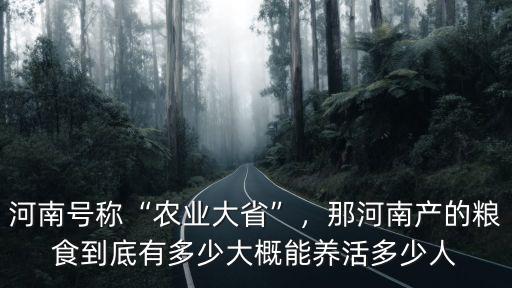 河南號稱“農業大省”，那河南產的糧食到底有多少大概能養活多少人