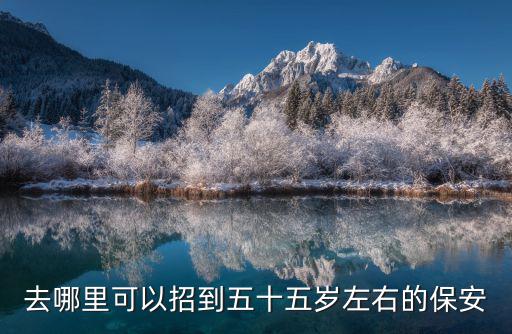 去哪里可以招到五十五歲左右的保安