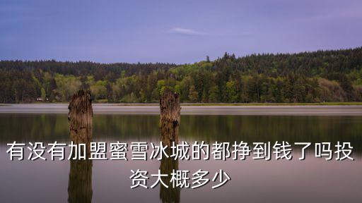 有沒有加盟蜜雪冰城的都掙到錢了嗎投資大概多少