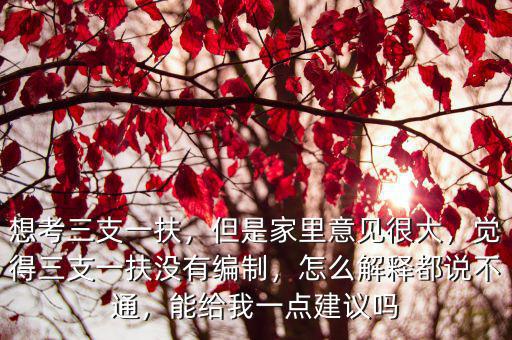 想考三支一扶，但是家里意見很大，覺得三支一扶沒有編制，怎么解釋都說不通，能給我一點建議嗎