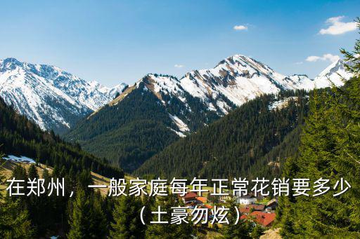 在鄭州，一般家庭每年正常花銷要多少（土豪勿炫）