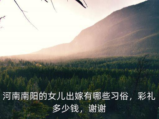 河南南陽的女兒出嫁有哪些習(xí)俗，彩禮多少錢，謝謝