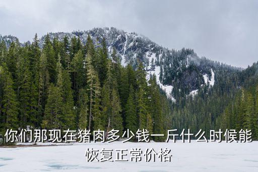 你們那現在豬肉多少錢一斤什么時候能恢復正常價格